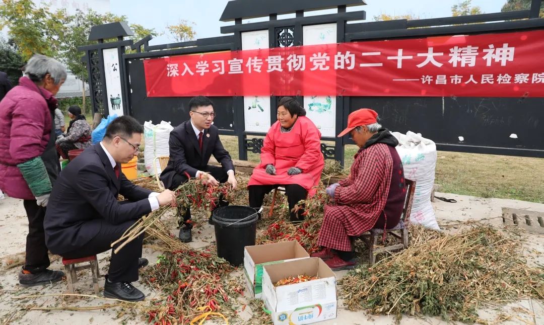 許昌:深入學(xué)習(xí)宣傳貫徹黨的二十大精神 答好鄉(xiāng)村振興優(yōu)異答卷